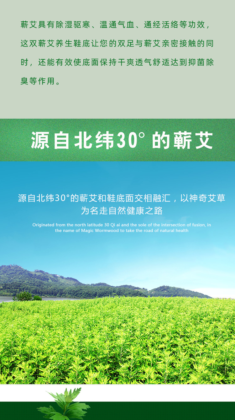 best365网页版登录